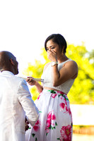 Wendell and Samia Proposal